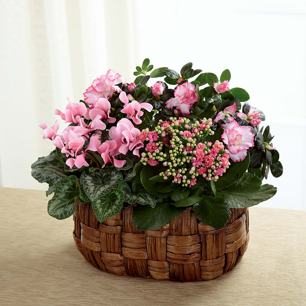 Pink Assortment – THE LADYBUG FLORAL & GIFTS, Berlin WI