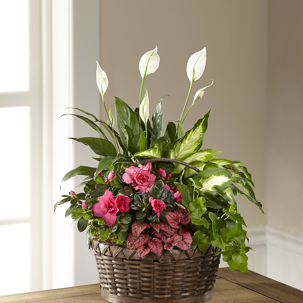 Dream in Pink Dishgarden – THE LADYBUG FLORAL & GIFTS, Berlin WI