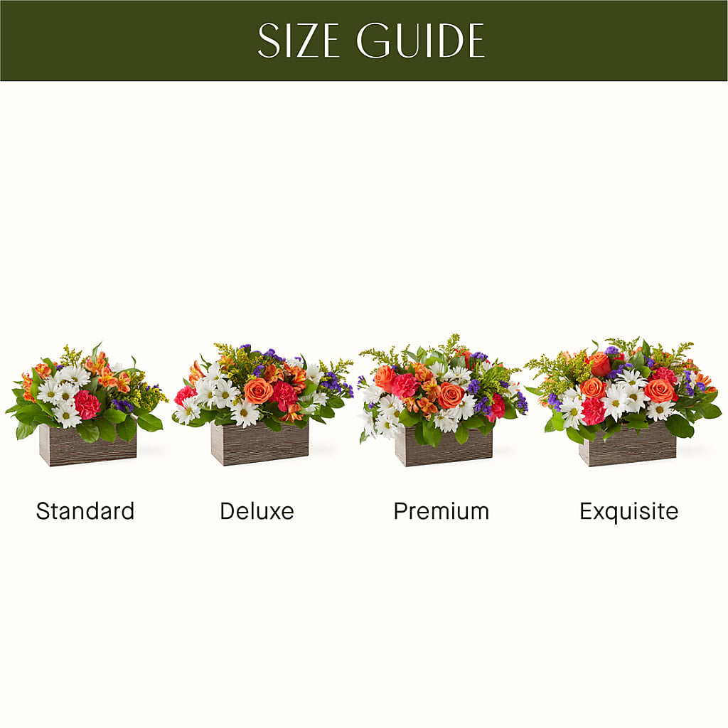 Oopsie Daisy Box Bouquet – THE LADYBUG FLORAL & GIFTS, Berlin WI