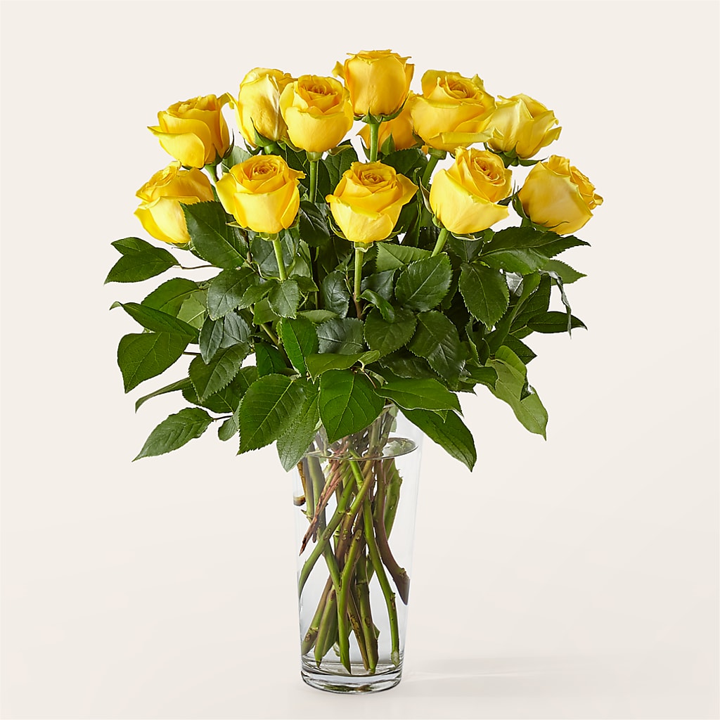Long Stem Yellow Rose Bouquet – THE LADYBUG FLORAL & GIFTS, Berlin WI