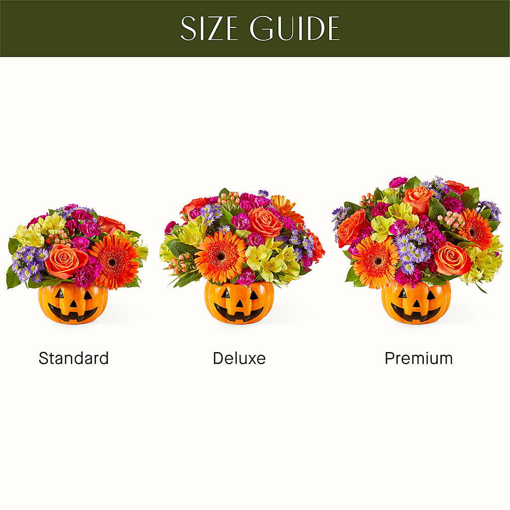 Tricks & Treats Pumpkin – THE LADYBUG FLORAL & GIFTS, Berlin WI