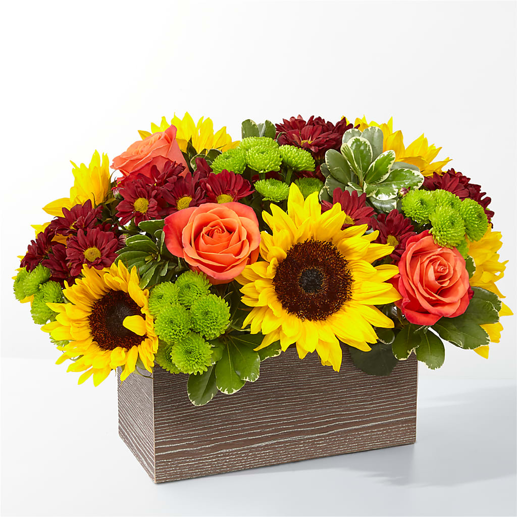 Happy Harvest Garden – THE LADYBUG FLORAL & GIFTS, Berlin WI