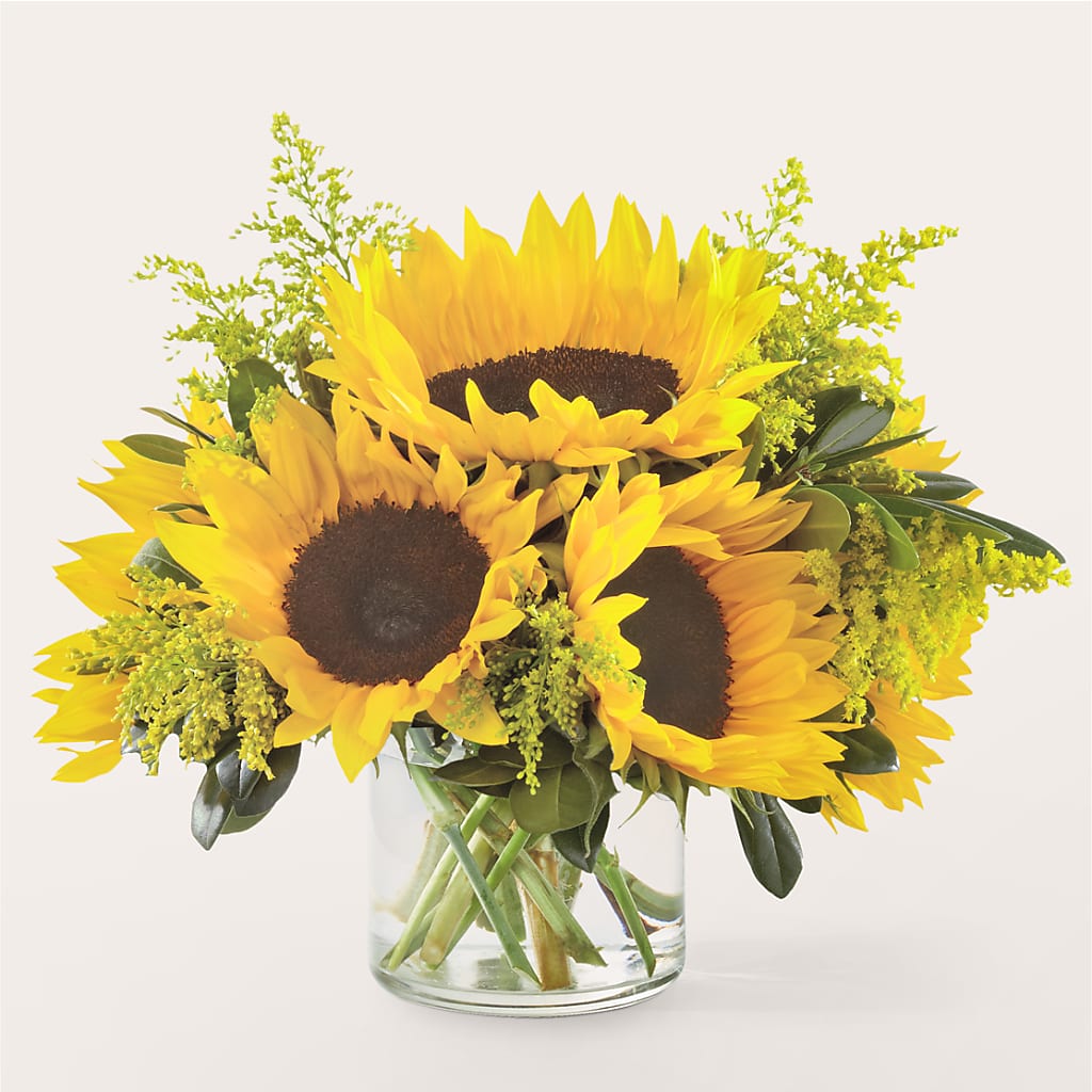 Beaming Sunflower Bouquet – THE LADYBUG FLORAL & GIFTS, Berlin WI