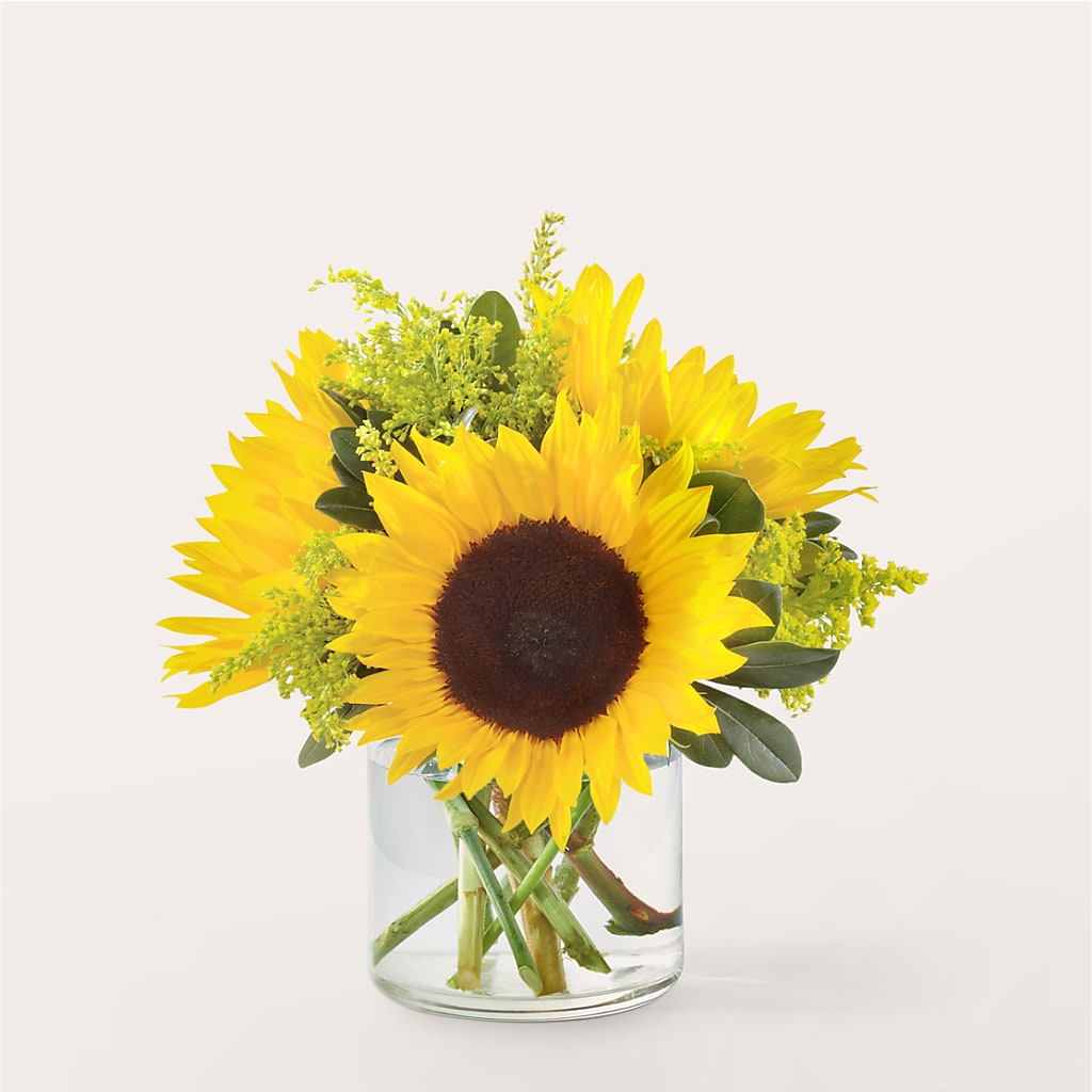 Beaming Sunflower Bouquet – THE LADYBUG FLORAL & GIFTS, Berlin WI