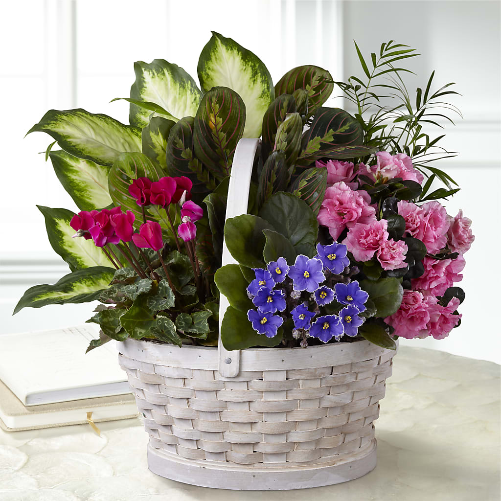 Peaceful Garden Planter – THE LADYBUG FLORAL & GIFTS, Berlin WI