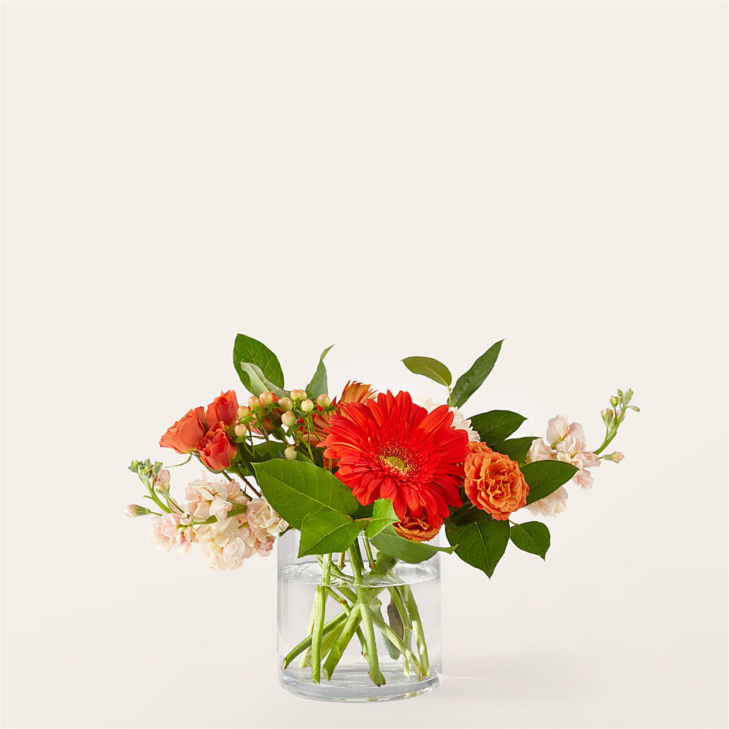 Paloma Please Bouquet – THE LADYBUG FLORAL & GIFTS, Berlin WI