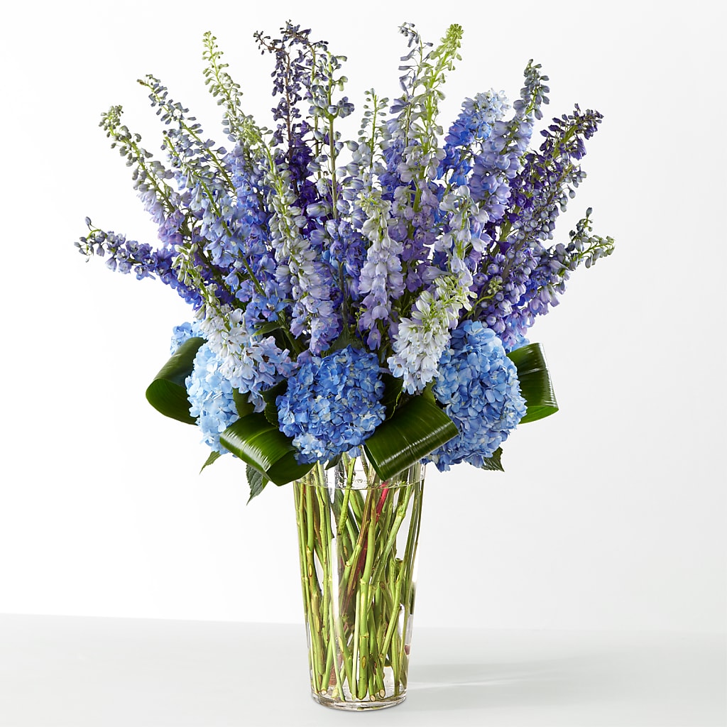 The Editorial – THE LADYBUG FLORAL & GIFTS, Berlin WI