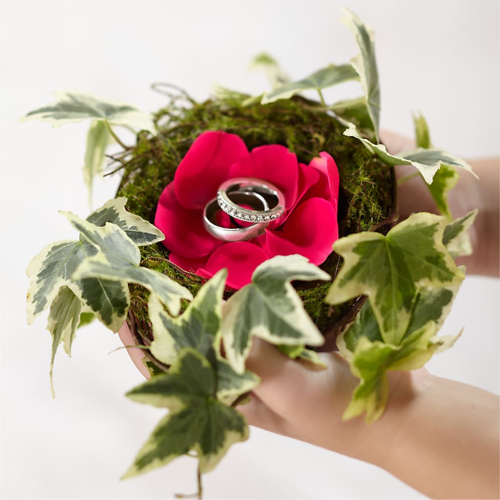 Lila Rose Ring Nest – THE LADYBUG FLORAL & GIFTS, Berlin WI