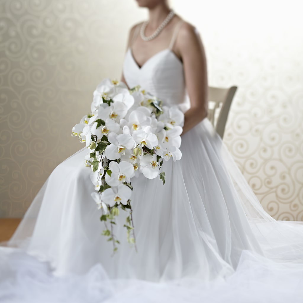 Classic White Bouquet – THE LADYBUG FLORAL & GIFTS, Berlin WI
