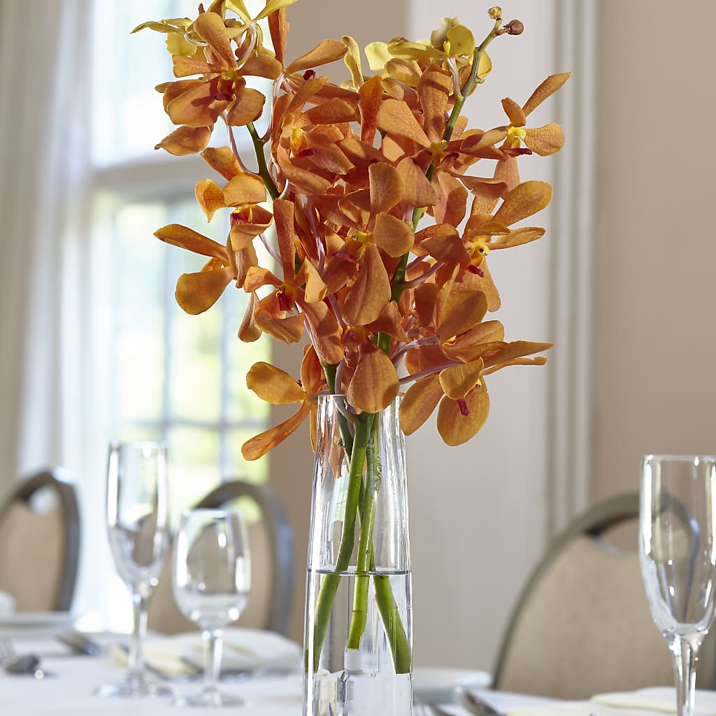 Orange Mokara Bud Vase – THE LADYBUG FLORAL & GIFTS, Berlin WI
