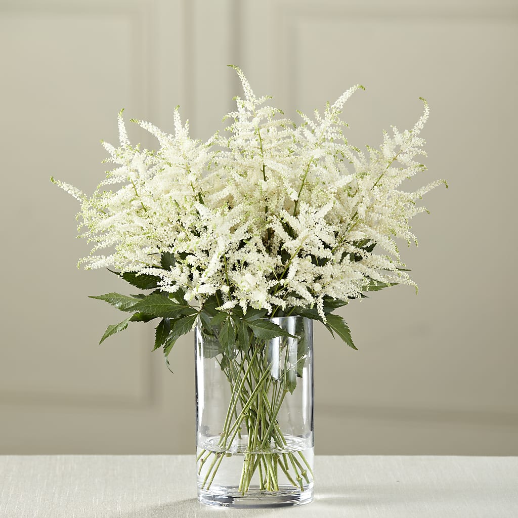 White Astilbe Bouquet – THE LADYBUG FLORAL & GIFTS, Berlin WI