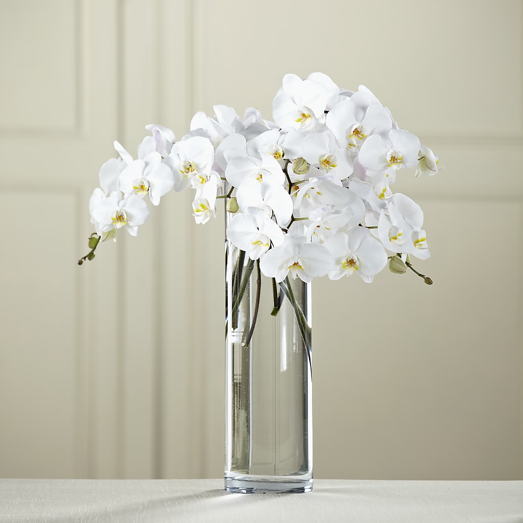 White Phalaenopsis Bouquet – THE LADYBUG FLORAL & GIFTS, Berlin WI