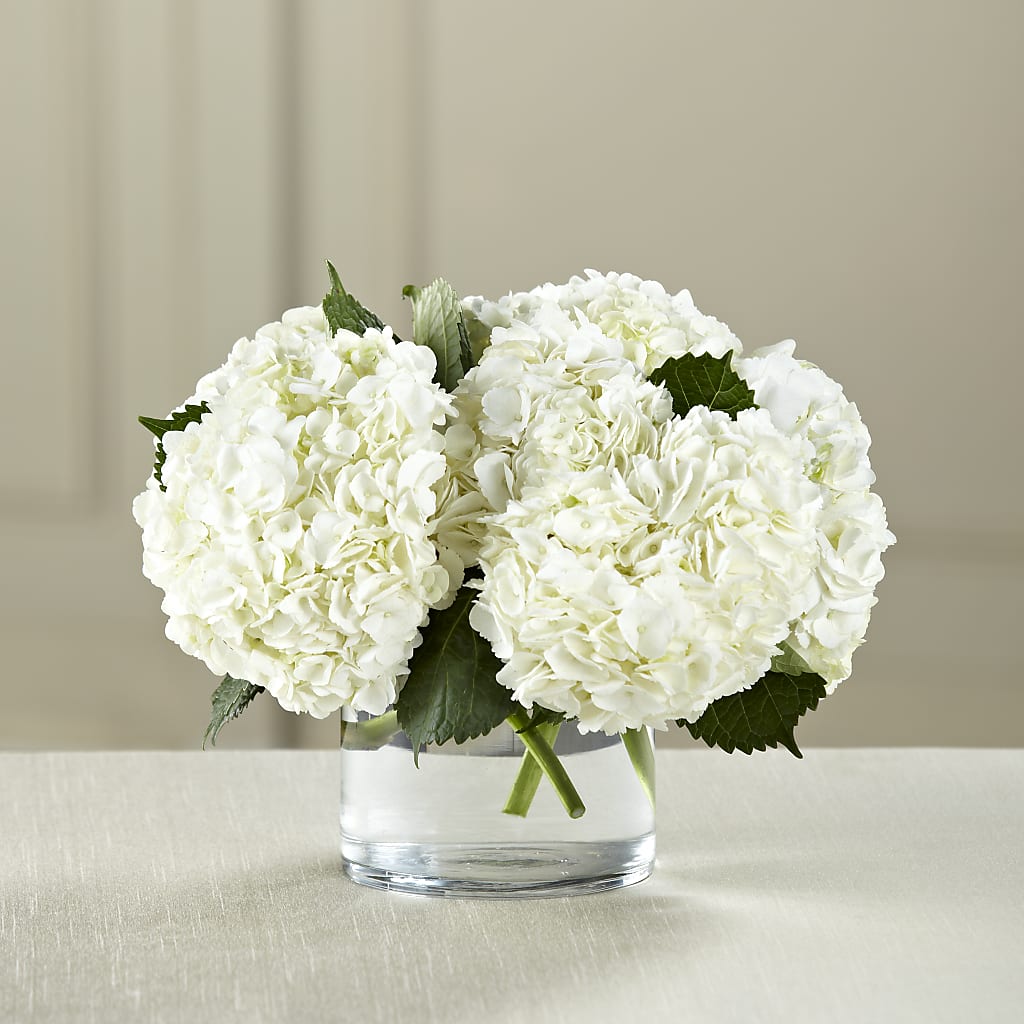 White Hydrangea Bouquet – THE LADYBUG FLORAL & GIFTS, Berlin WI