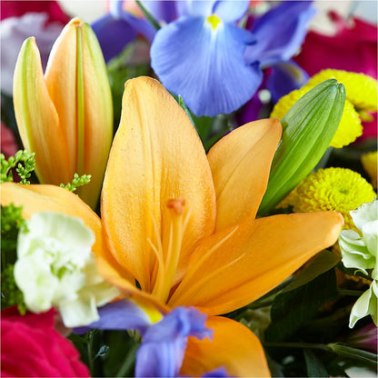Bold & Bright – A Florist Original – THE LADYBUG FLORAL & GIFTS, Berlin WI