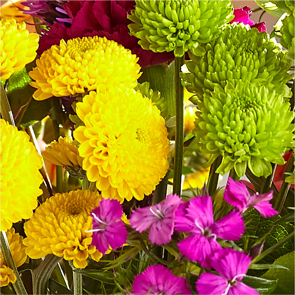Bold & Bright – A Florist Original – THE LADYBUG FLORAL & GIFTS, Berlin WI