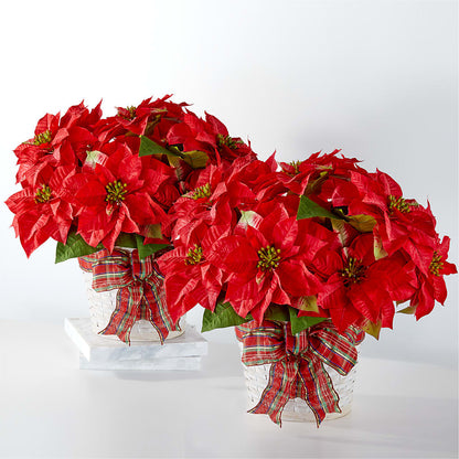 Happiest Holidays Poinsettia Bundle – THE LADYBUG FLORAL & GIFTS, Berlin WI
