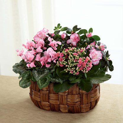 Pink Assortment – THE LADYBUG FLORAL & GIFTS, Berlin WI