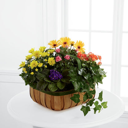 Gentle Blossoms Basket – THE LADYBUG FLORAL & GIFTS, Berlin WI