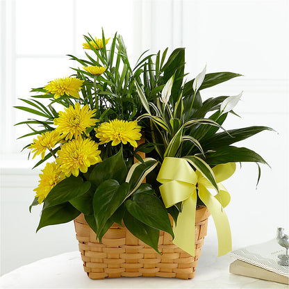 Loving Light Dishgarden – THE LADYBUG FLORAL & GIFTS, Berlin WI