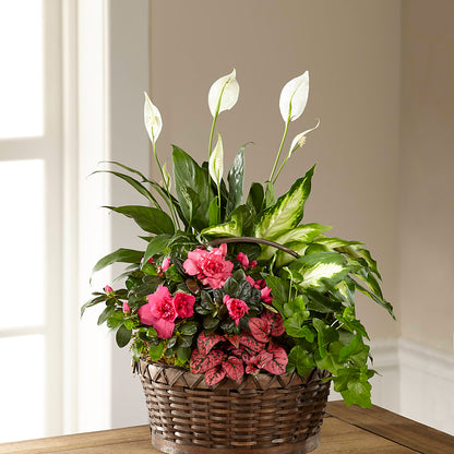 Dream in Pink Dishgarden – THE LADYBUG FLORAL & GIFTS, Berlin WI