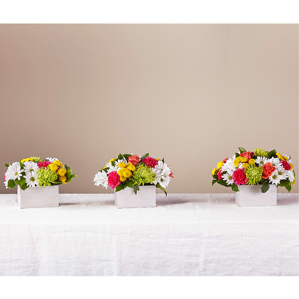 Sorbet Bouquet – THE LADYBUG FLORAL & GIFTS, Berlin WI