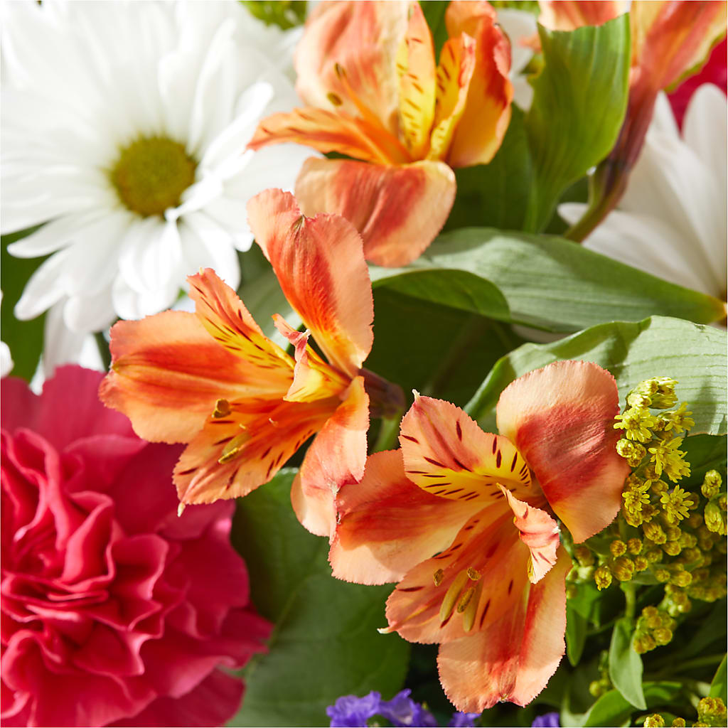Oopsie Daisy Box Bouquet – THE LADYBUG FLORAL & GIFTS, Berlin WI