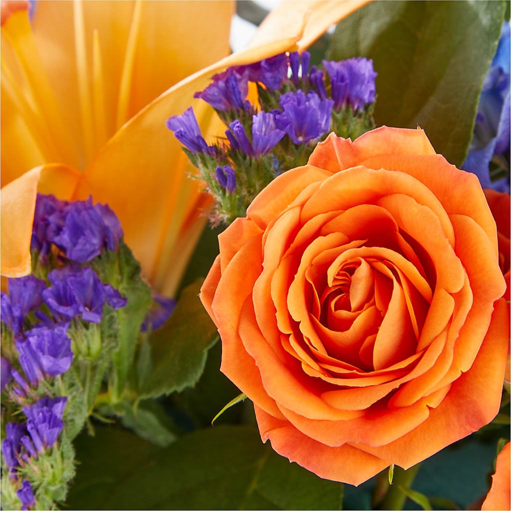 Radiant Citrus Box Bouquet – THE LADYBUG FLORAL & GIFTS, Berlin WI