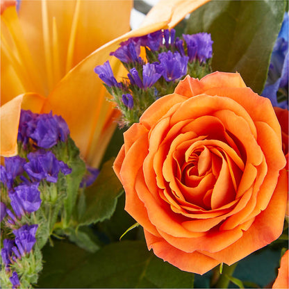 Radiant Citrus Box Bouquet – THE LADYBUG FLORAL & GIFTS, Berlin WI