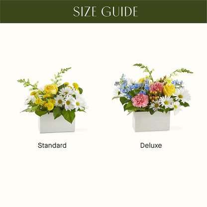 Sun Salutation Box Bouquet – THE LADYBUG FLORAL & GIFTS, Berlin WI