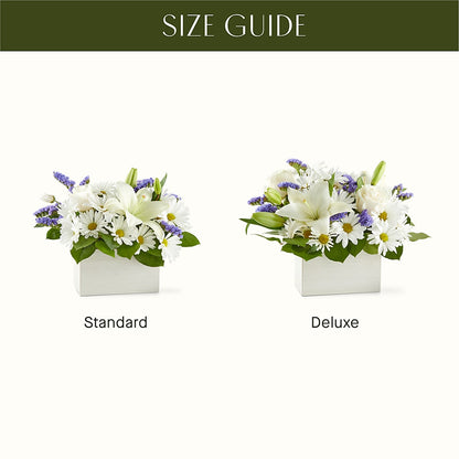 Beyond Blue Box Bouquet – THE LADYBUG FLORAL & GIFTS, Berlin WI