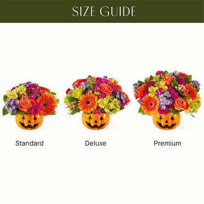 Tricks & Treats Pumpkin – THE LADYBUG FLORAL & GIFTS, Berlin WI