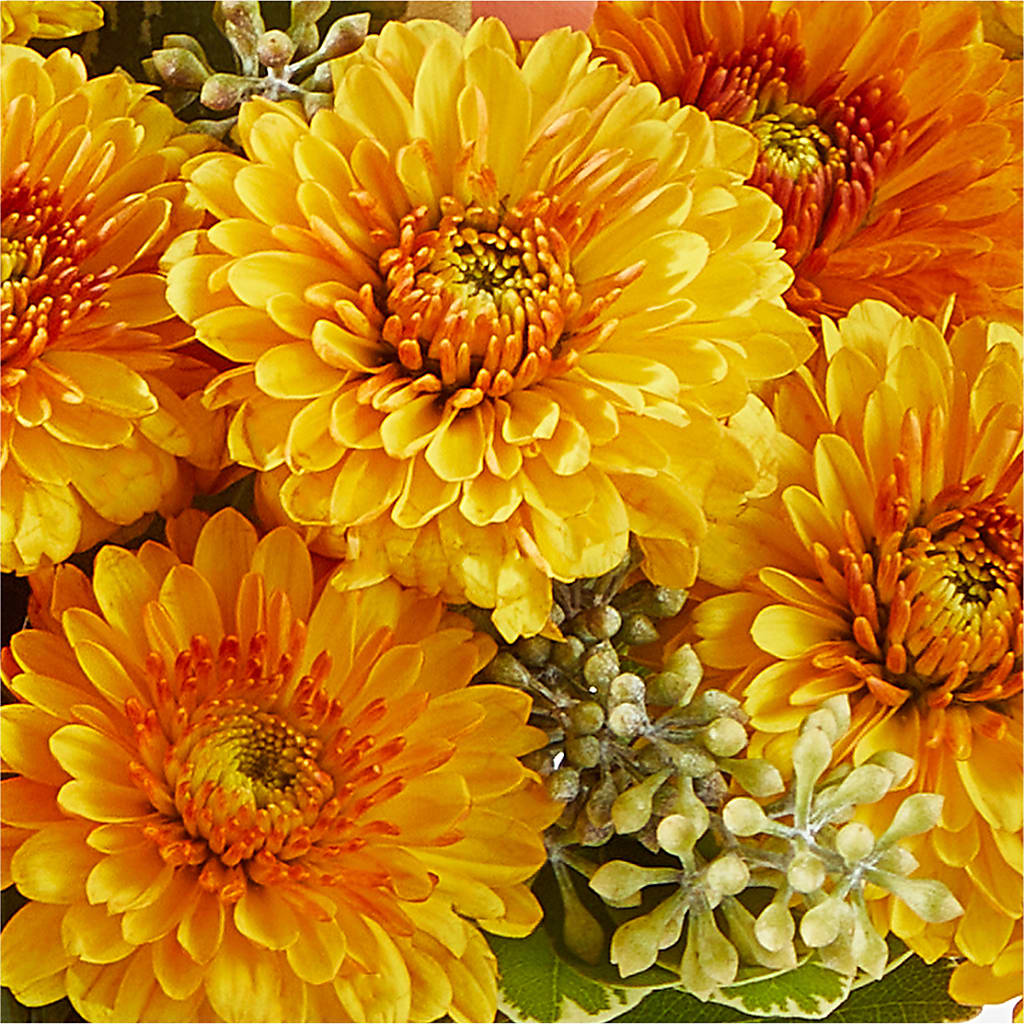 Peachy Pumpkin – THE LADYBUG FLORAL & GIFTS, Berlin WI