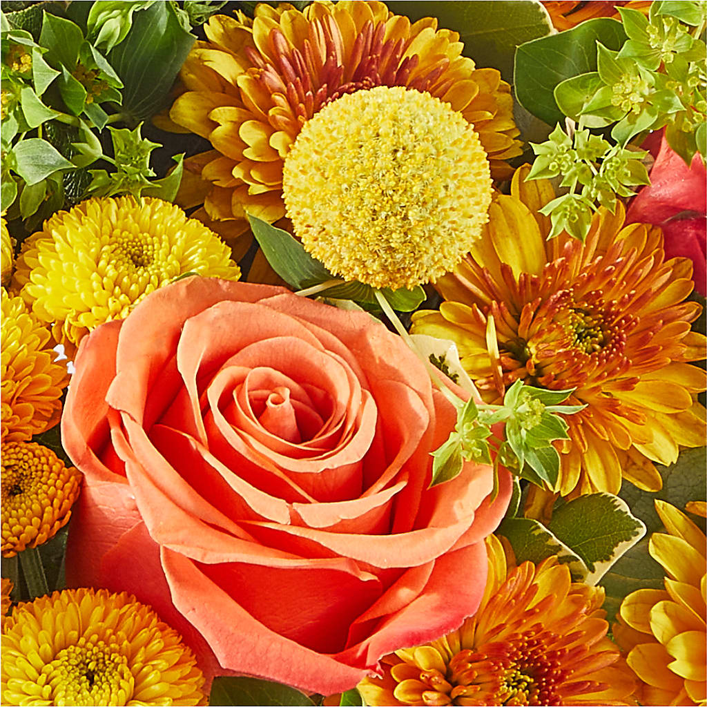 Gourdgeous Pumpkin – THE LADYBUG FLORAL & GIFTS, Berlin WI