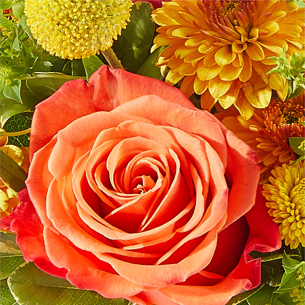 Gourdgeous Pumpkin – THE LADYBUG FLORAL & GIFTS, Berlin WI