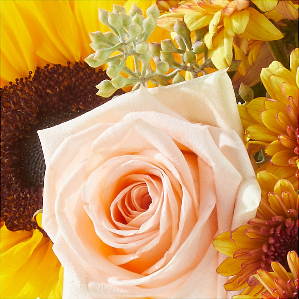 Pumpkin to Talk About Bouquet – THE LADYBUG FLORAL & GIFTS, Berlin WI
