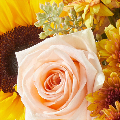 Pumpkin to Talk About Bouquet – THE LADYBUG FLORAL & GIFTS, Berlin WI