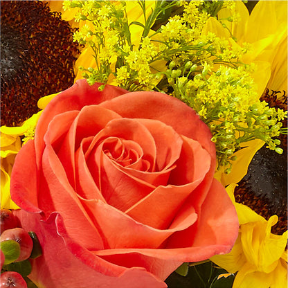 Pick of the Patch Pumpkin Bouquet – THE LADYBUG FLORAL & GIFTS, Berlin WI