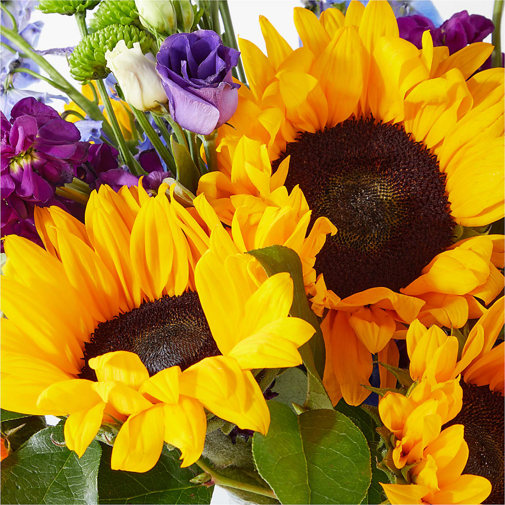 Catching Rays Bouquet – THE LADYBUG FLORAL & GIFTS, Berlin WI