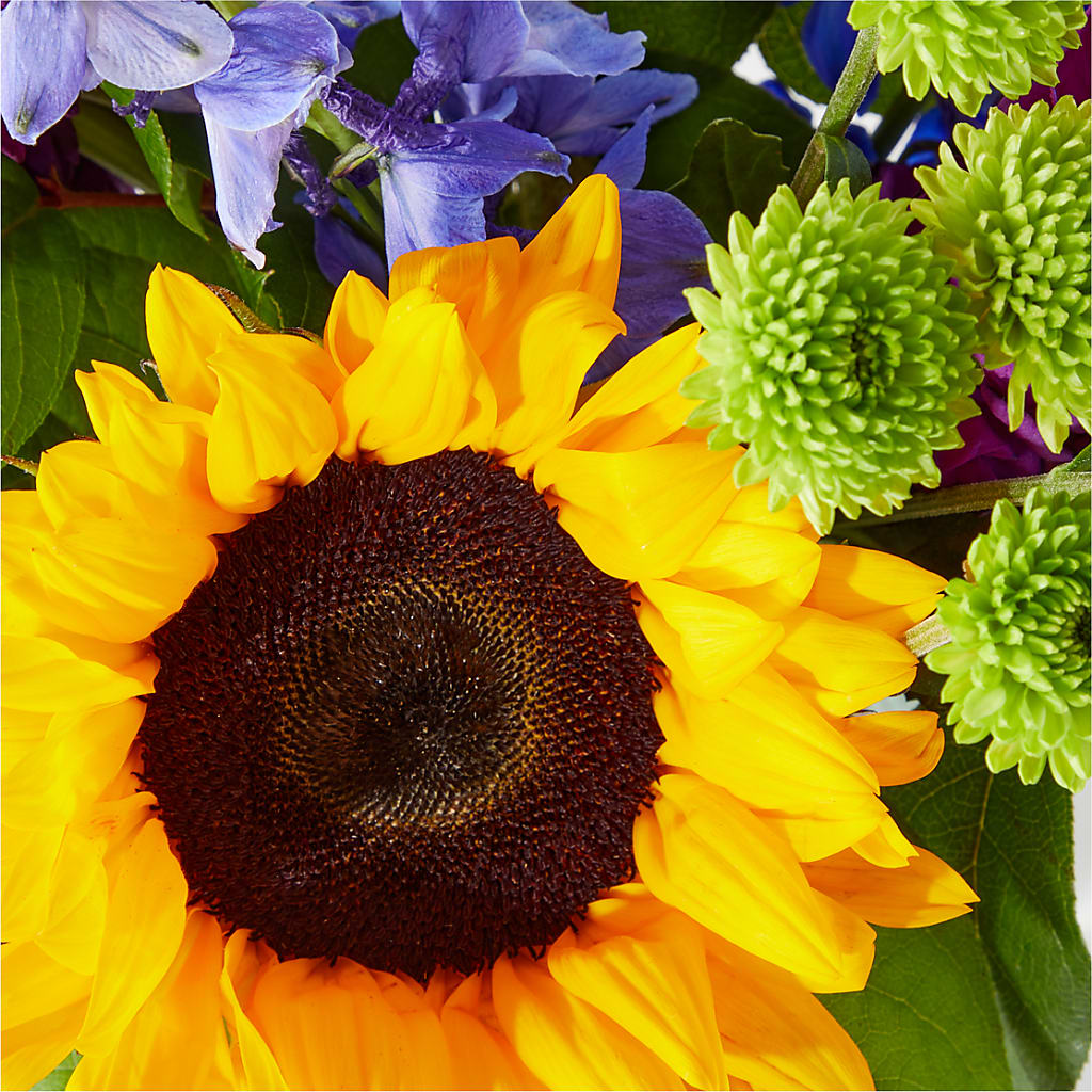 Catching Rays Bouquet – THE LADYBUG FLORAL & GIFTS, Berlin WI