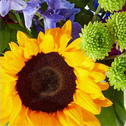 Catching Rays Bouquet – THE LADYBUG FLORAL & GIFTS, Berlin WI