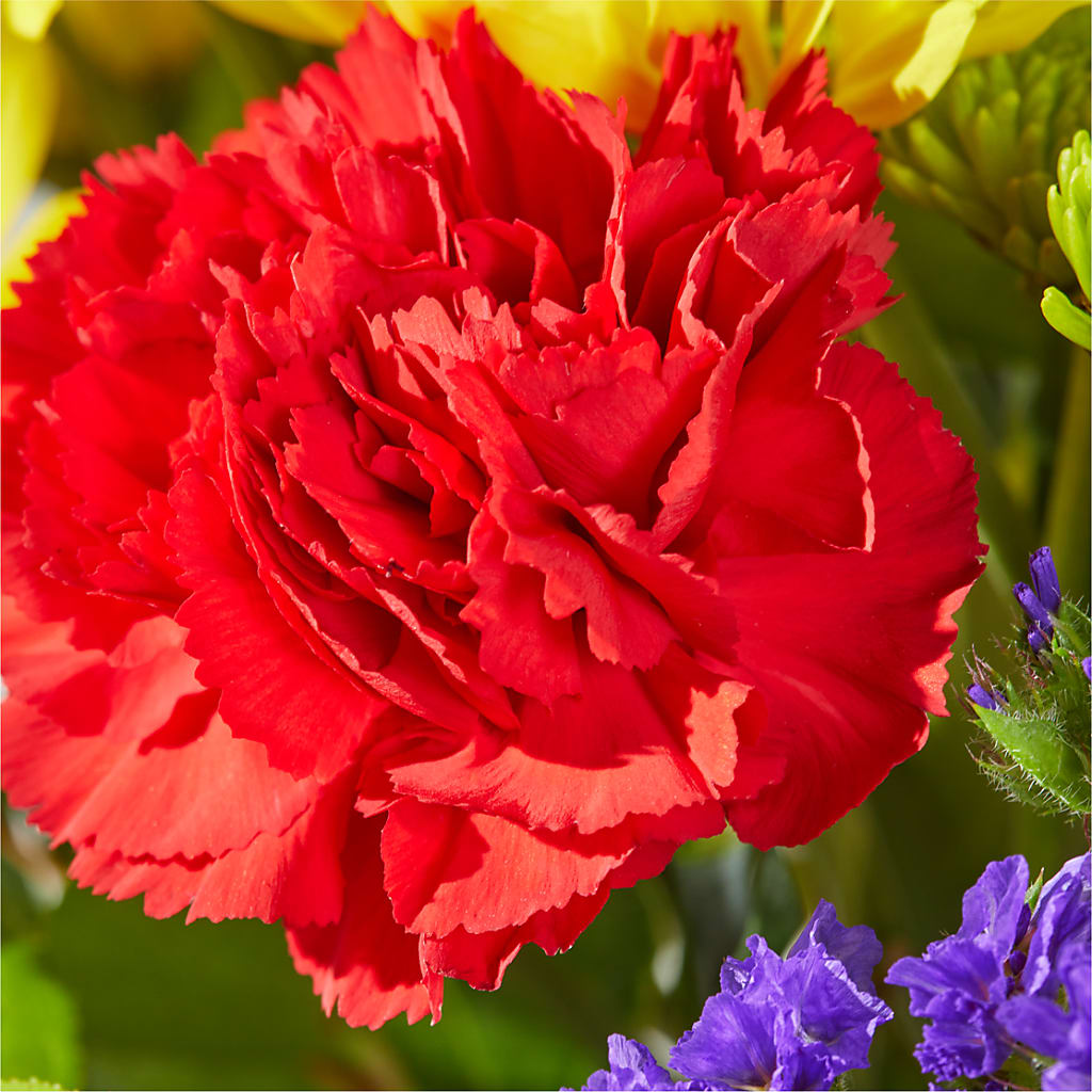 Brighter Days Bouquet – THE LADYBUG FLORAL & GIFTS, Berlin WI