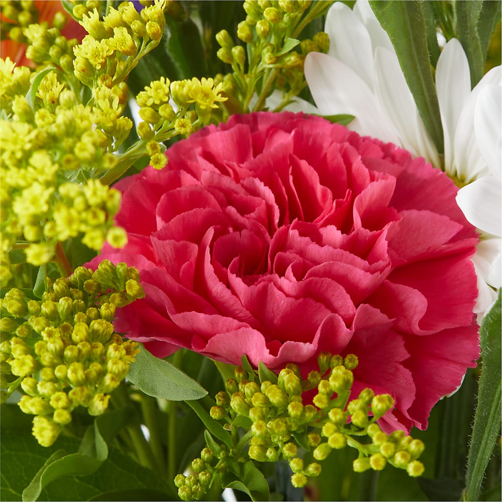 Oopsie Daisy Bouquet – THE LADYBUG FLORAL & GIFTS, Berlin WI