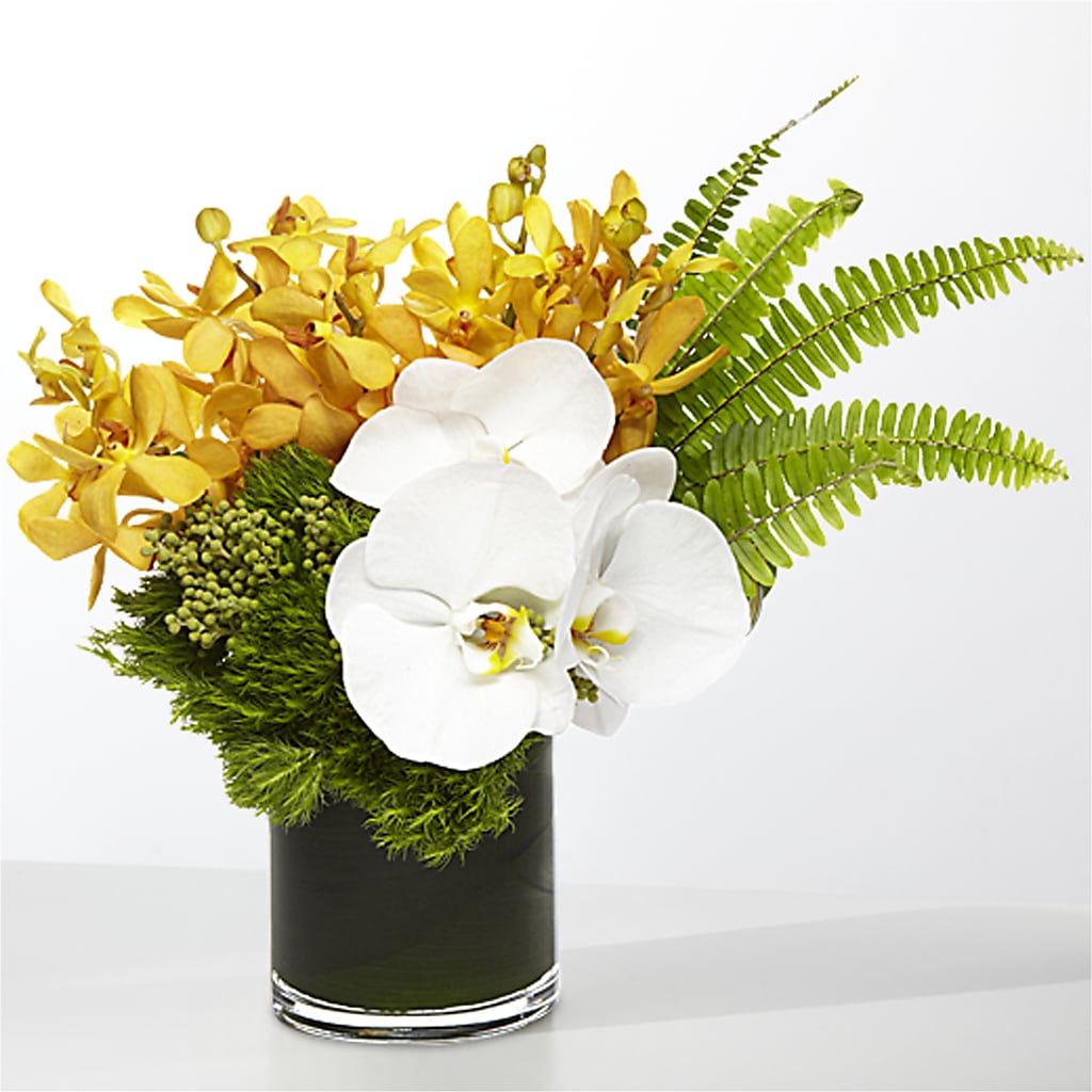 The Tropics – THE LADYBUG FLORAL & GIFTS, Berlin WI