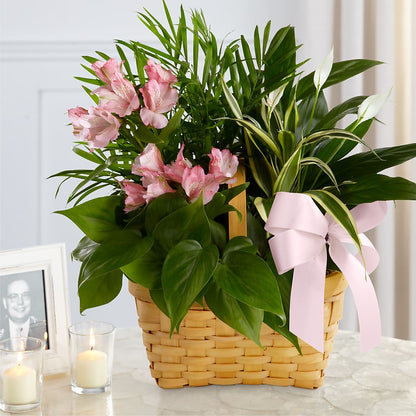 Living Spirit Dishgarden – THE LADYBUG FLORAL & GIFTS, Berlin WI