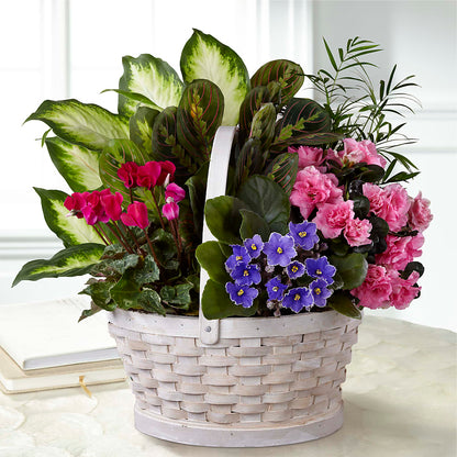 Peaceful Garden Planter – THE LADYBUG FLORAL & GIFTS, Berlin WI