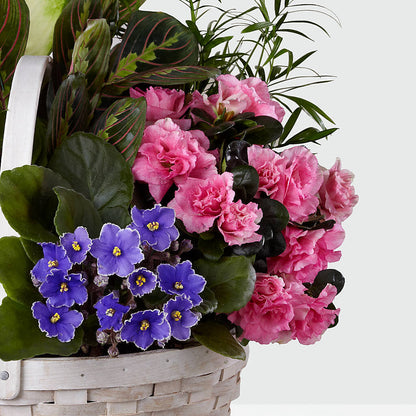 Peaceful Garden Planter – THE LADYBUG FLORAL & GIFTS, Berlin WI