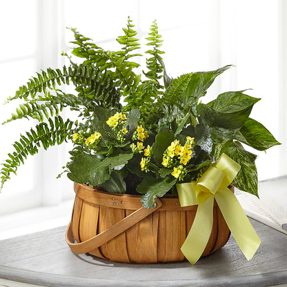 Always Dear Dishgarden – THE LADYBUG FLORAL & GIFTS, Berlin WI