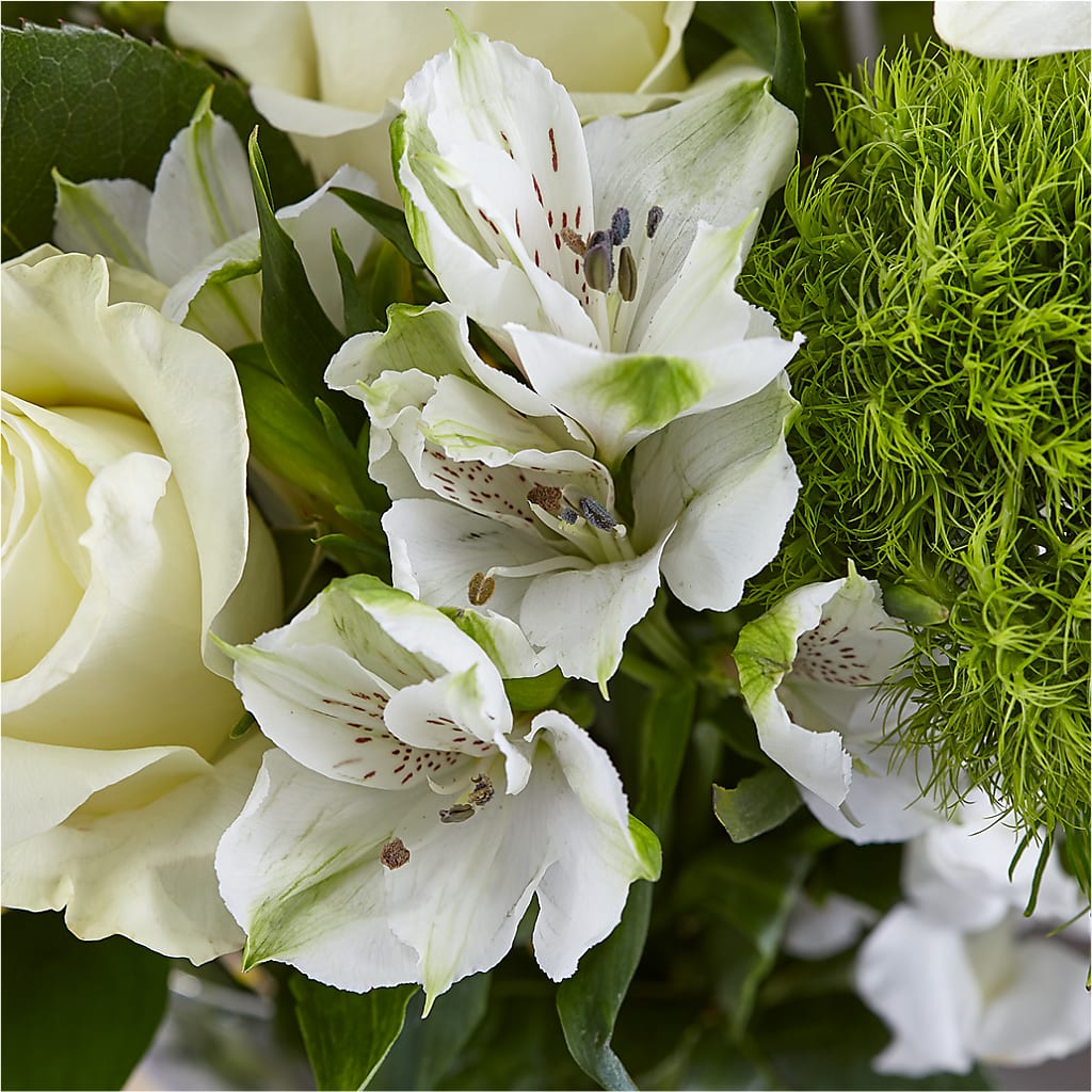 Classic Ivory – A Florist Original – THE LADYBUG FLORAL & GIFTS, Berlin WI