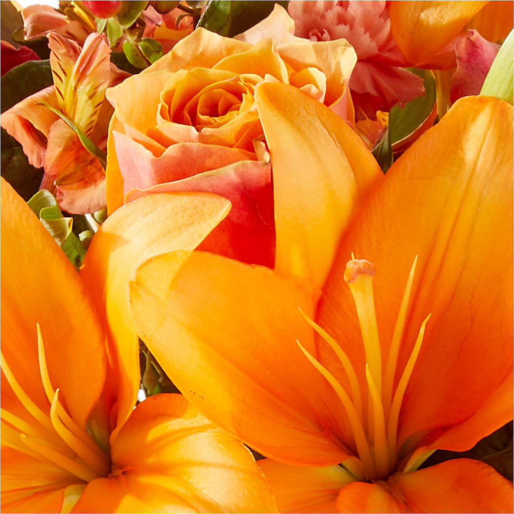Afternoon Light Bouquet – THE LADYBUG FLORAL & GIFTS, Berlin WI