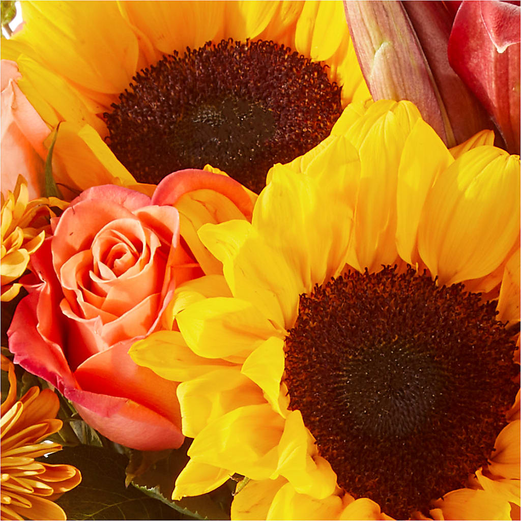 Acorn Lane Bouquet – THE LADYBUG FLORAL & GIFTS, Berlin WI
